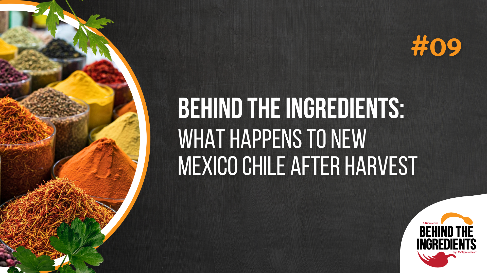 Behind the Ingredients: What happens to New Mexico chile after harvest